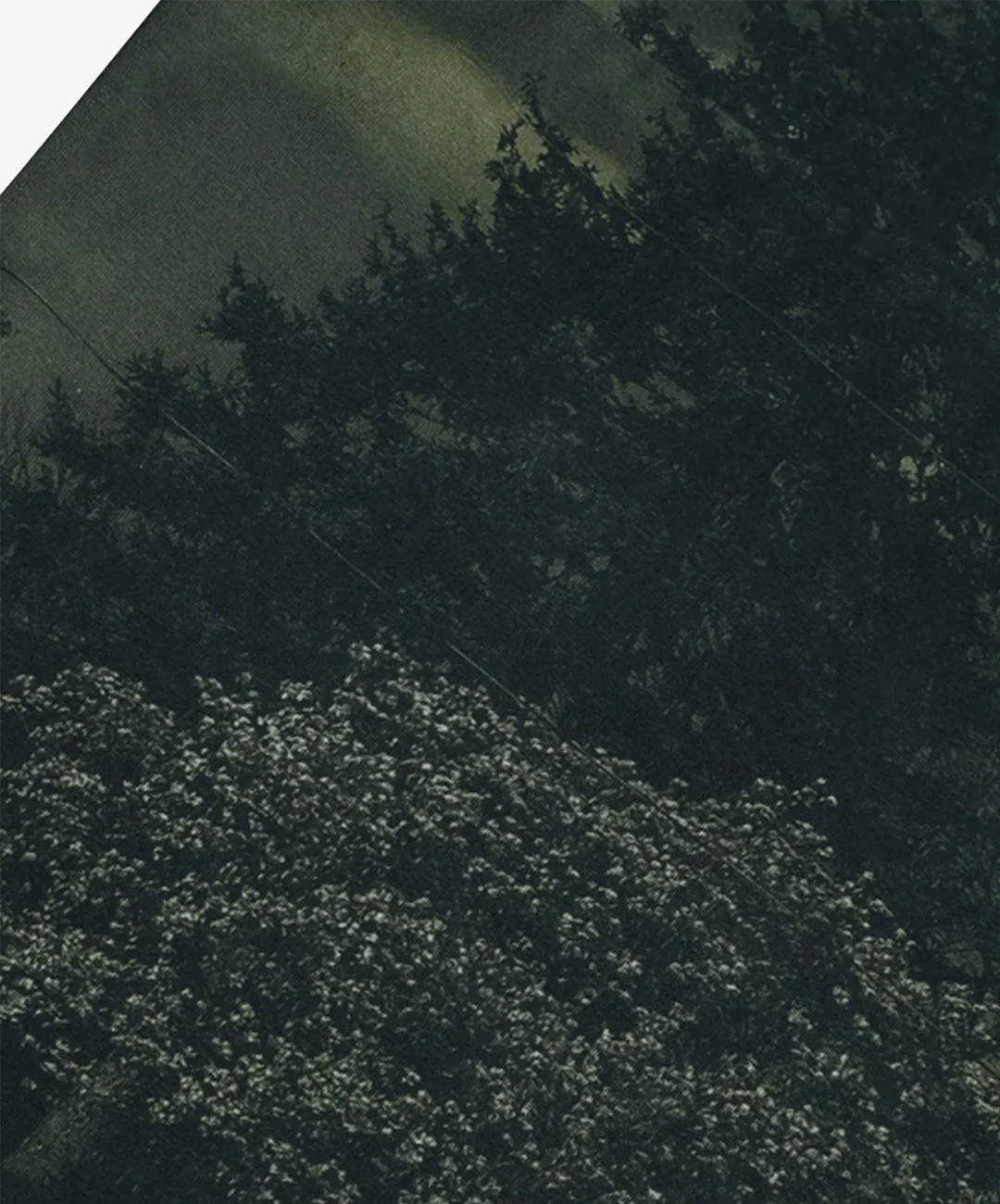 ALMOST GODS | ASSEMBLAGE TEE { GREEN - Image 6