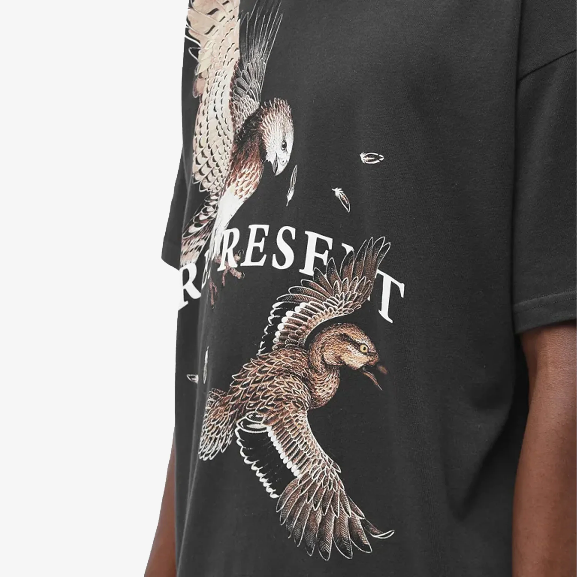 Represent | BIRDS OF PREY T-SHIRT { OFF BLACK - Image 3