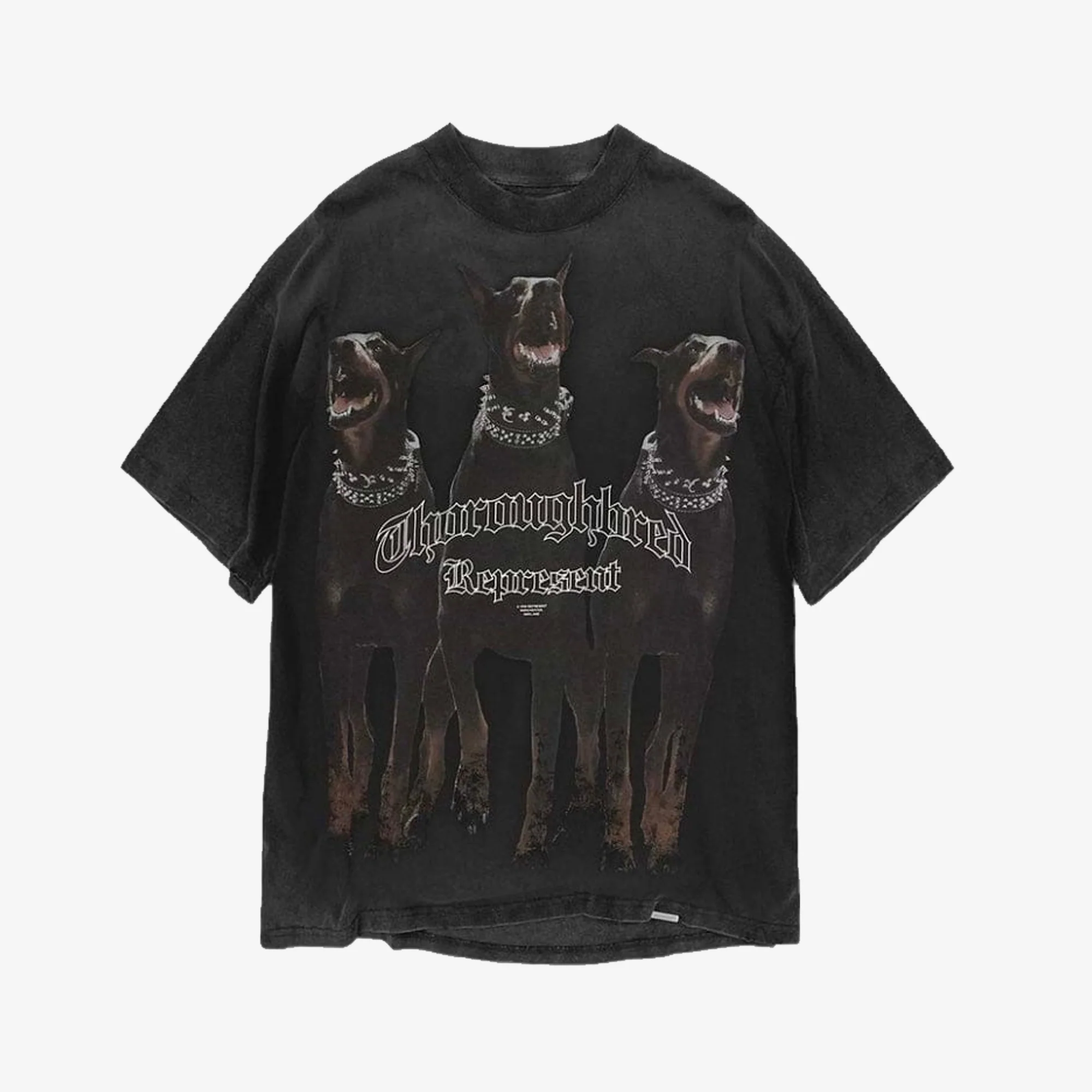Represent | THOROUGHBRED T- SHIRT { VINTAGE BLACK - Image 4